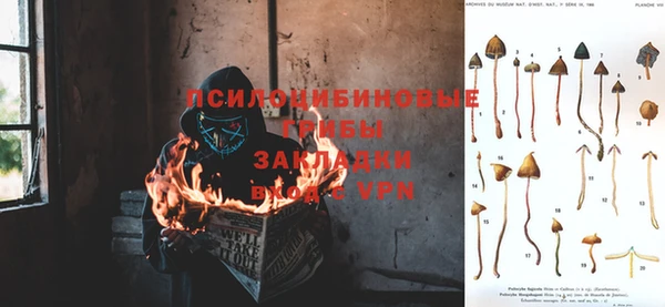 Альфа ПВП Балахна