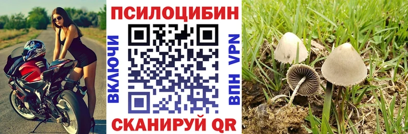 Псилоцибиновые грибы Cubensis  omg ссылка  Крымск 